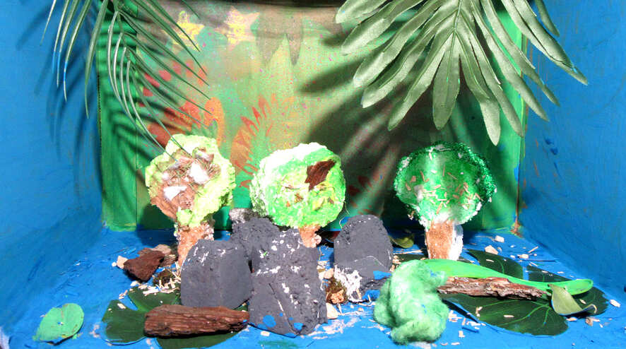 Île Jungle-cp
