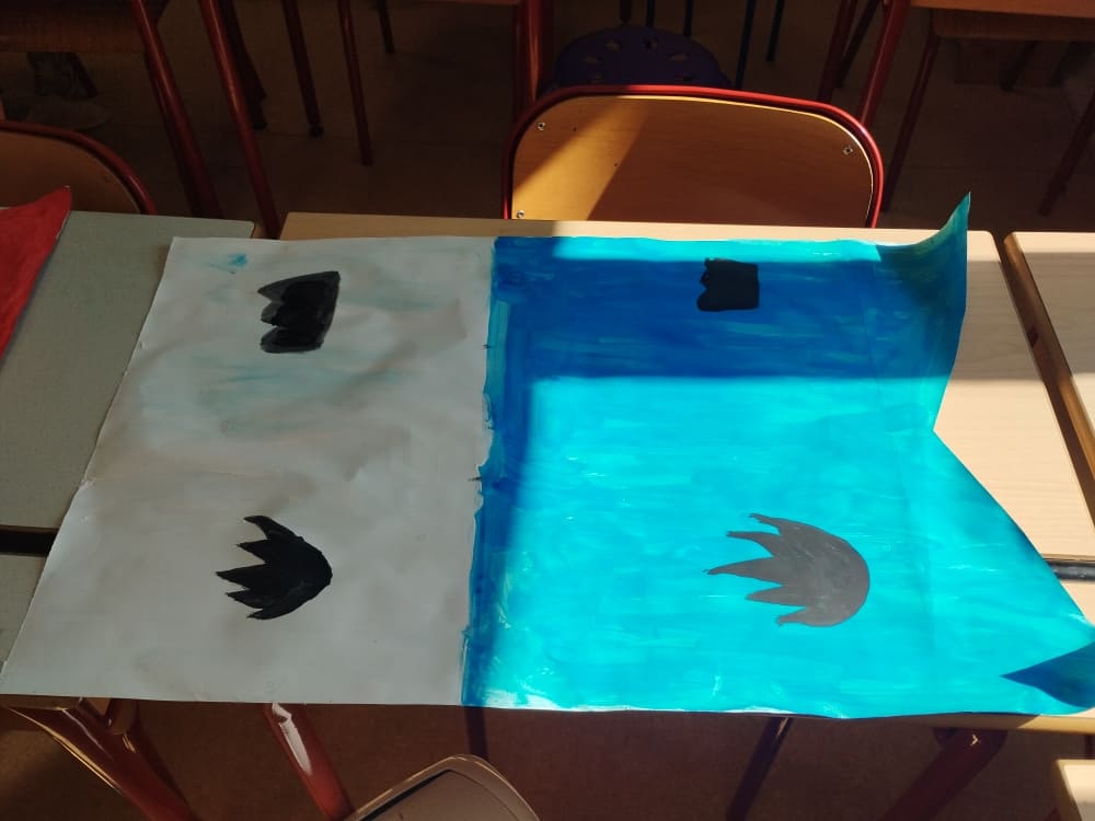 drapeau1